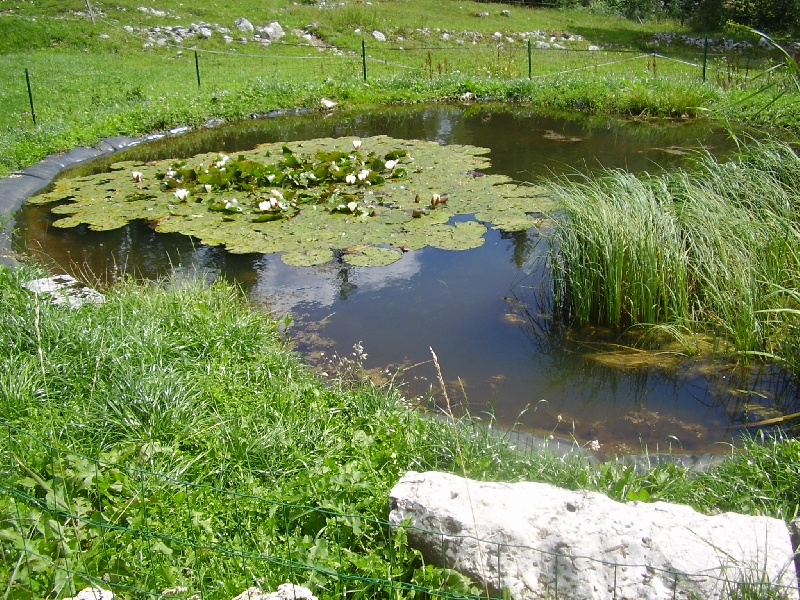 Paysages